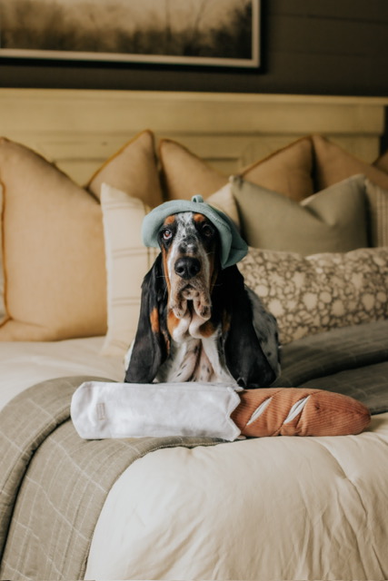 Chien basset hound avec un jouet en forme de baguette de pain de la marque Lambwolf Collective