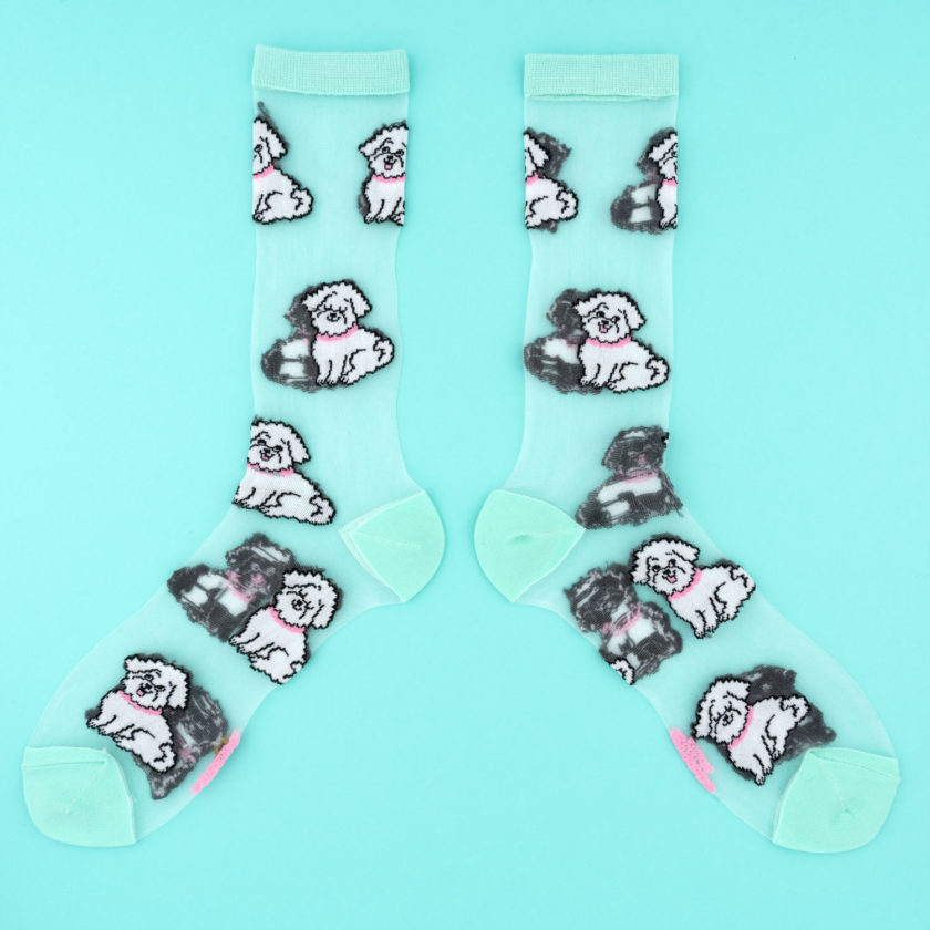 Chaussettes transparentes avec motifs Bichons de la marque Coucou Suzette.