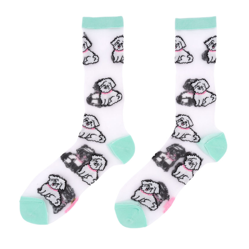 Chaussettes transparentes avec motifs Bichons de la marque Coucou Suzette.
