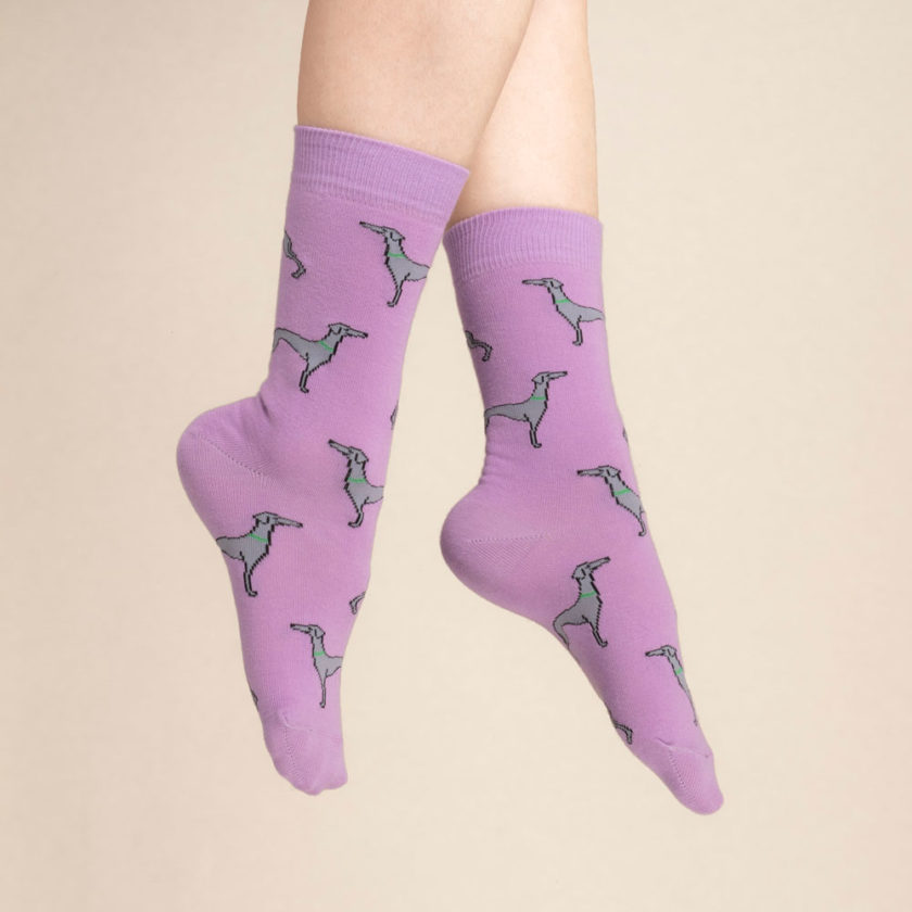 Chaussettes violettes avec motifs lévriers, de la marque Coucou Suzette.