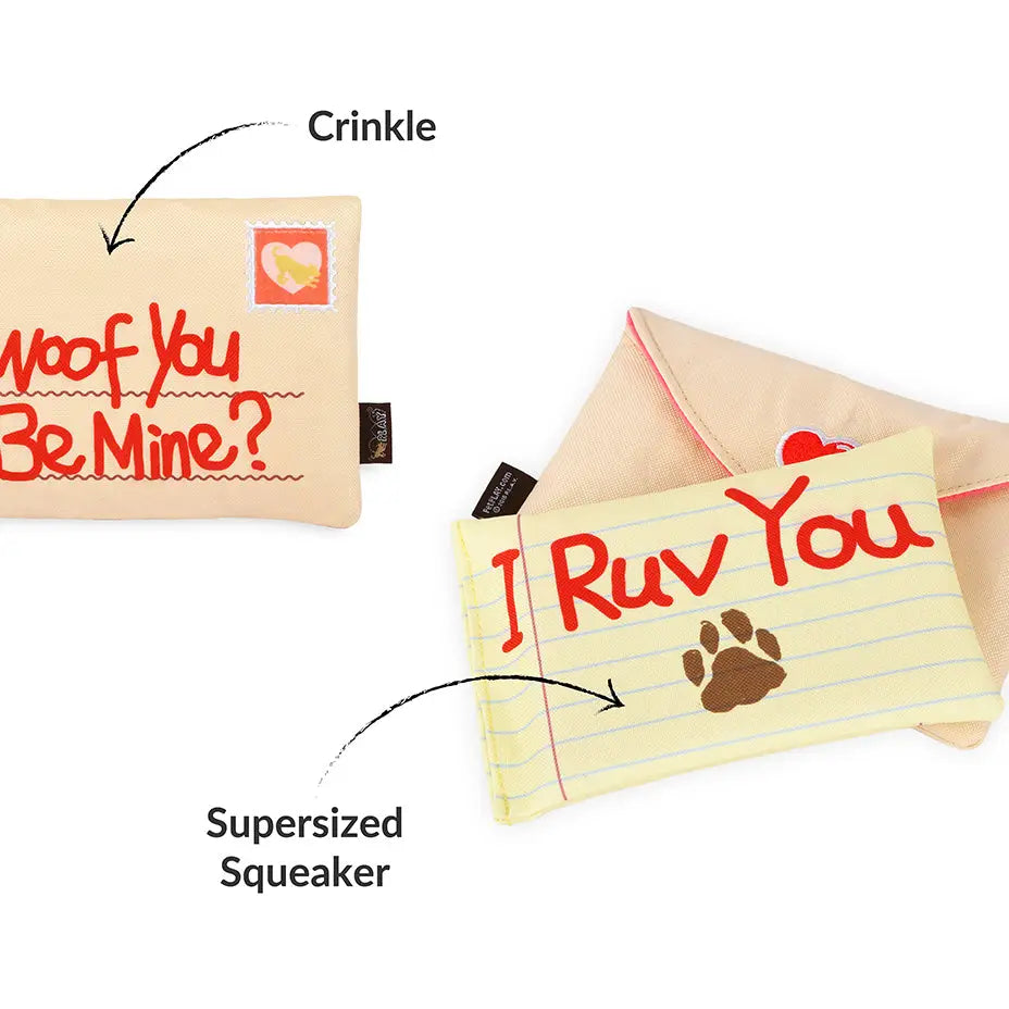 Jouet Lettre d'Amour Bug Ruv - PET PLAY