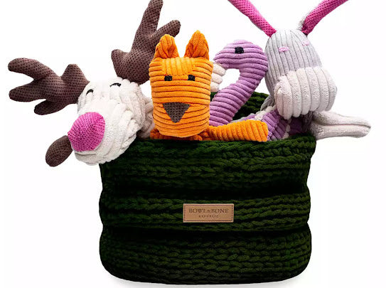 Ring Toy Basket - BOWL &amp; Bone
