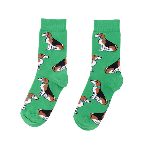 Chaussettes en coton Beagle - COUCOU SUZETTE