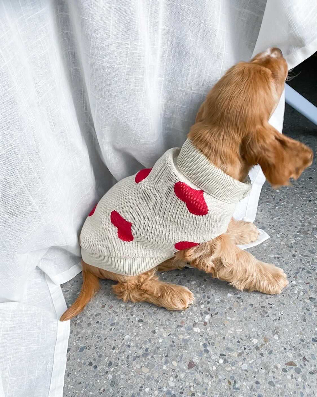 Pull à coeurs rouges - LOU & CO