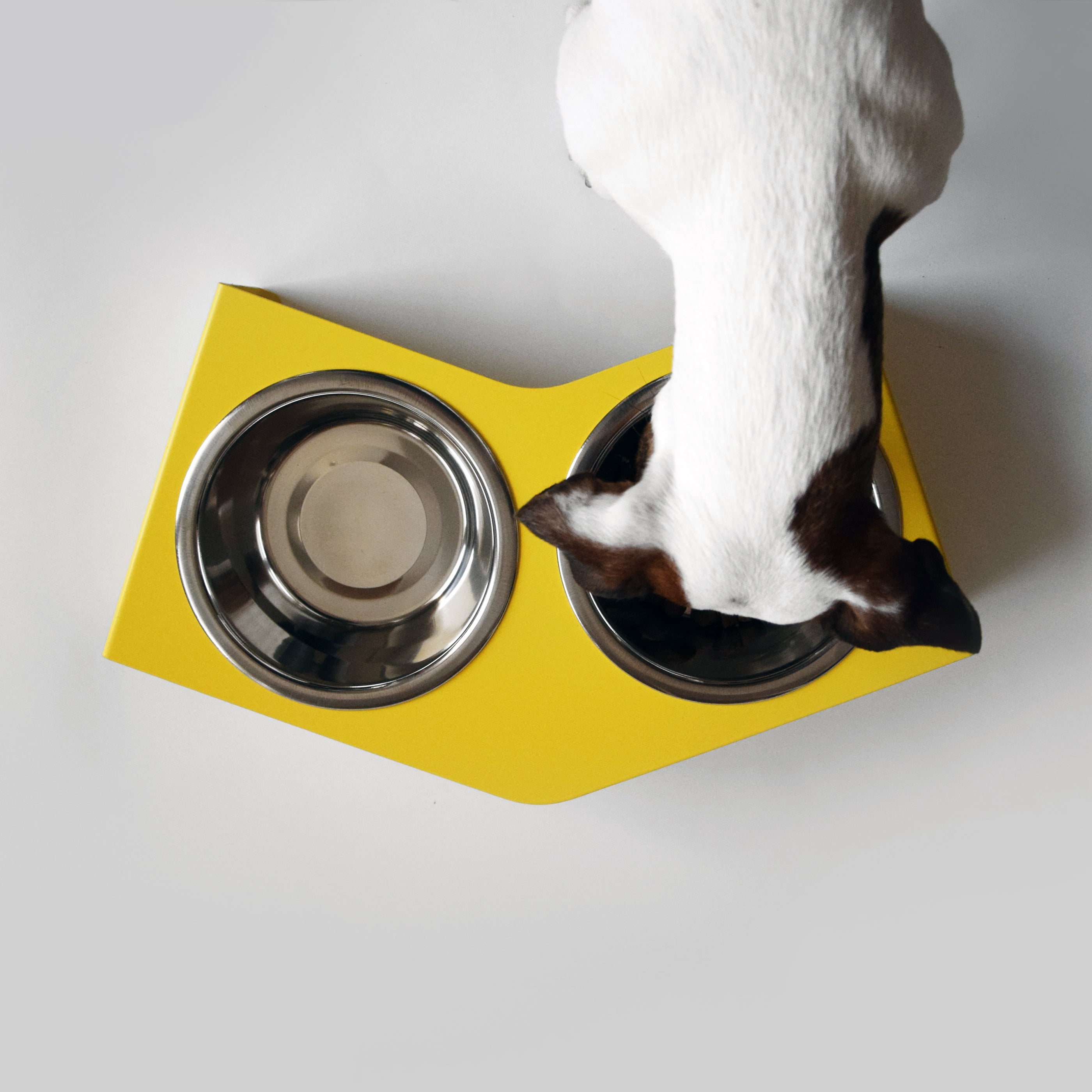 Bowl V - HELLO PETS SHOP