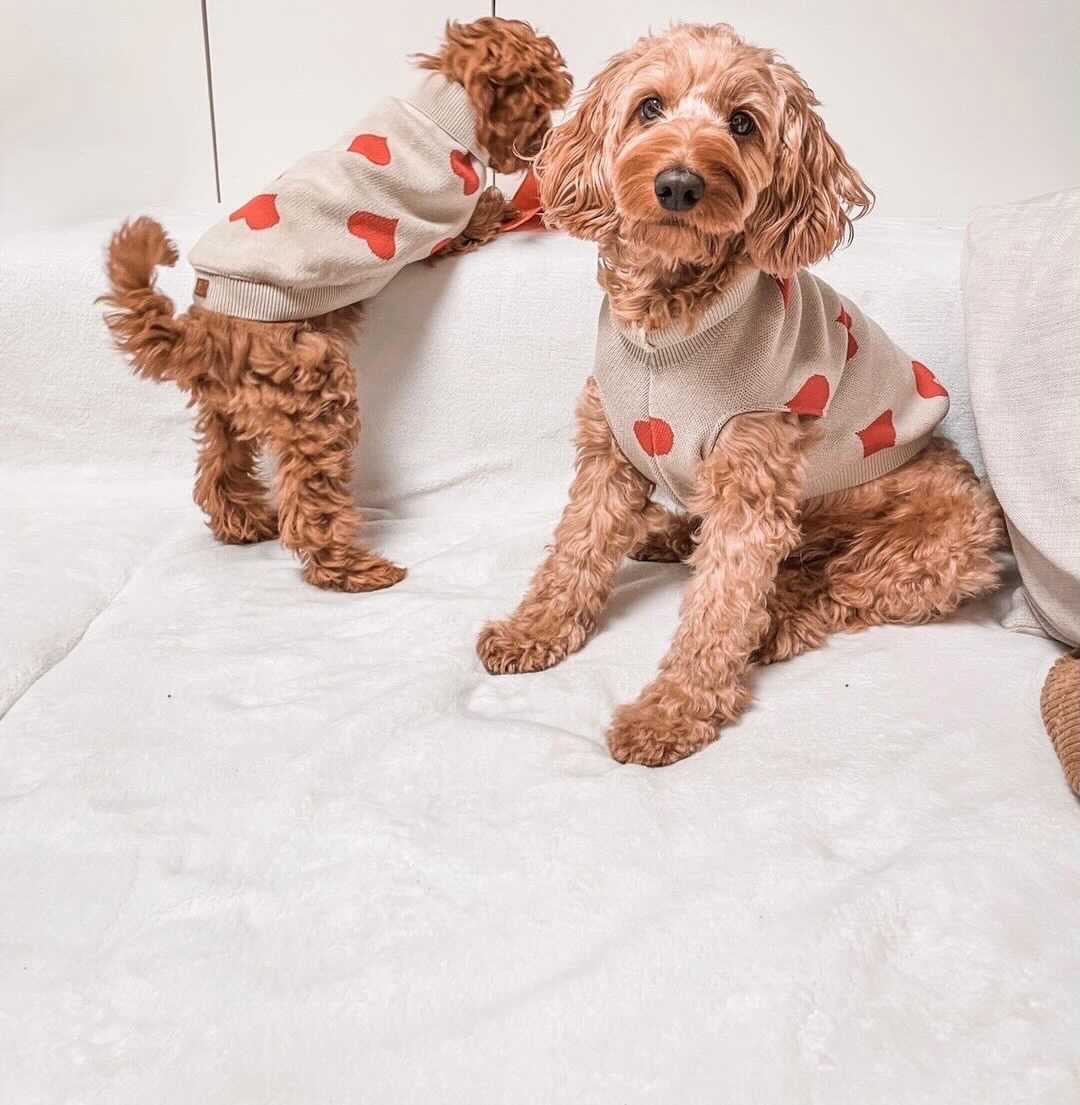 Pull à coeurs rouges - LOU & CO