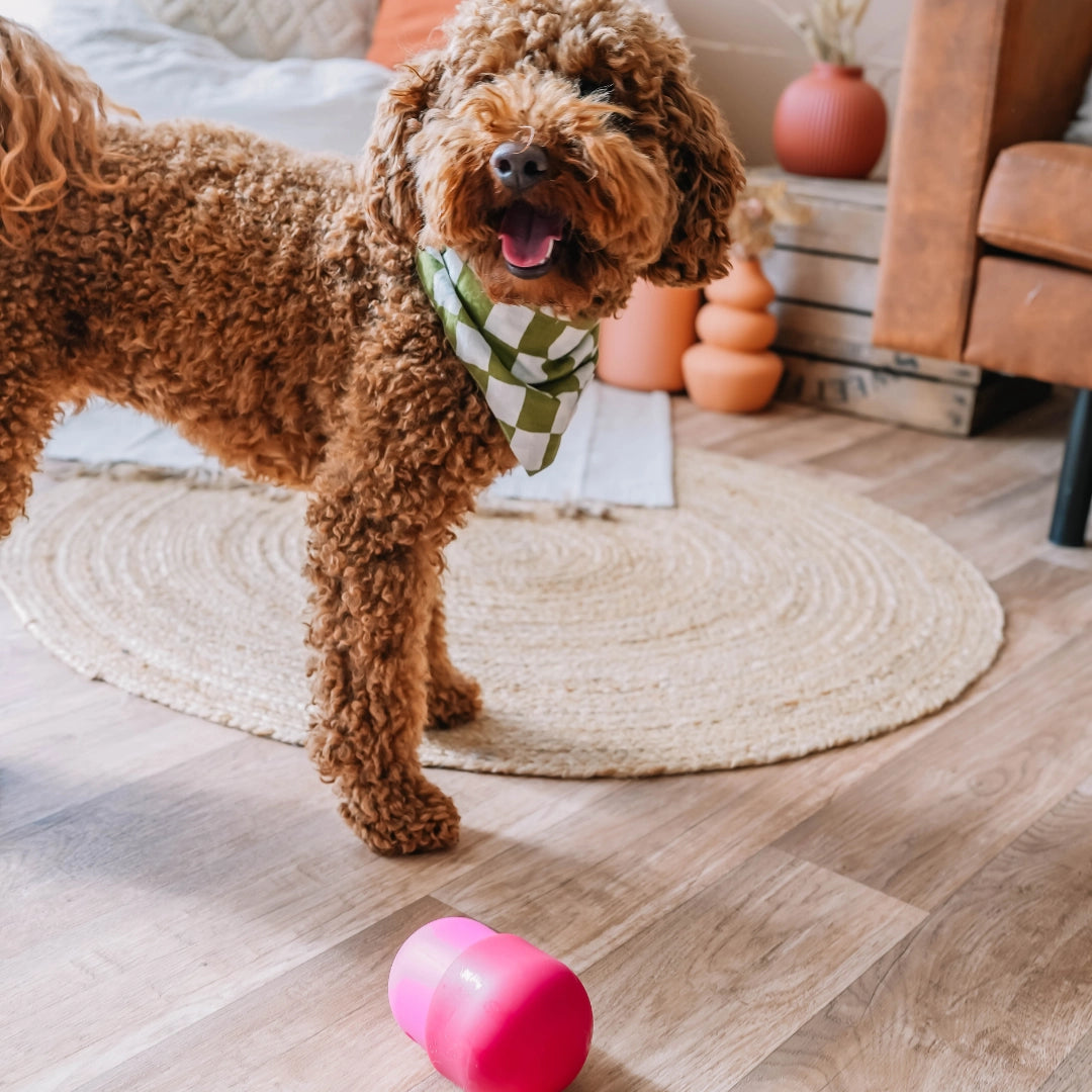 Distributeur de friandises Fun Feeder - BABELLE FOR DOGS