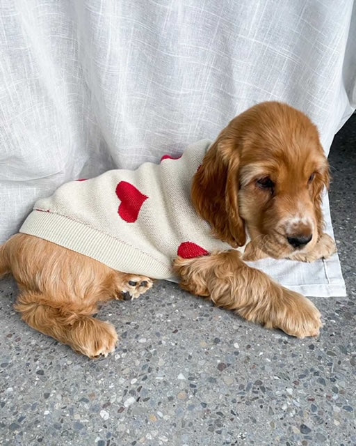 Pull à coeurs rouges - LOU & CO