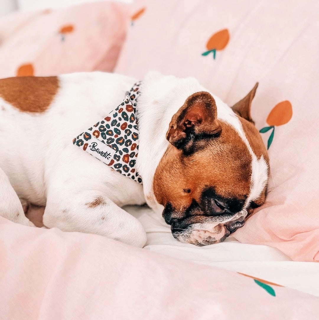 Wild Wild Wouf Bandana - FRENCH BANDIT