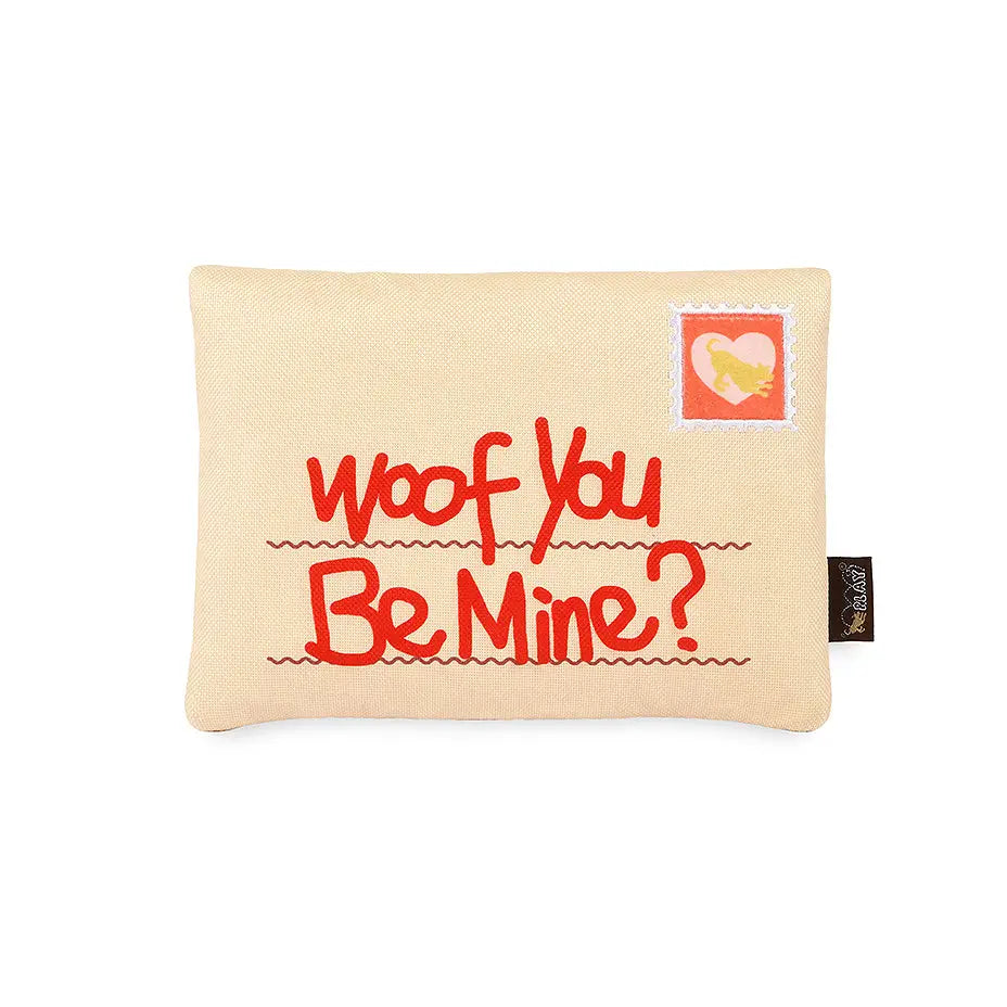 Jouet Lettre d'Amour Bug Ruv - PLAY