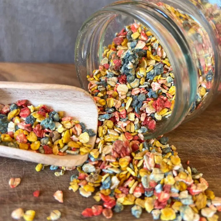 Rainbow Dogfetti - COOKA'S COOKIES