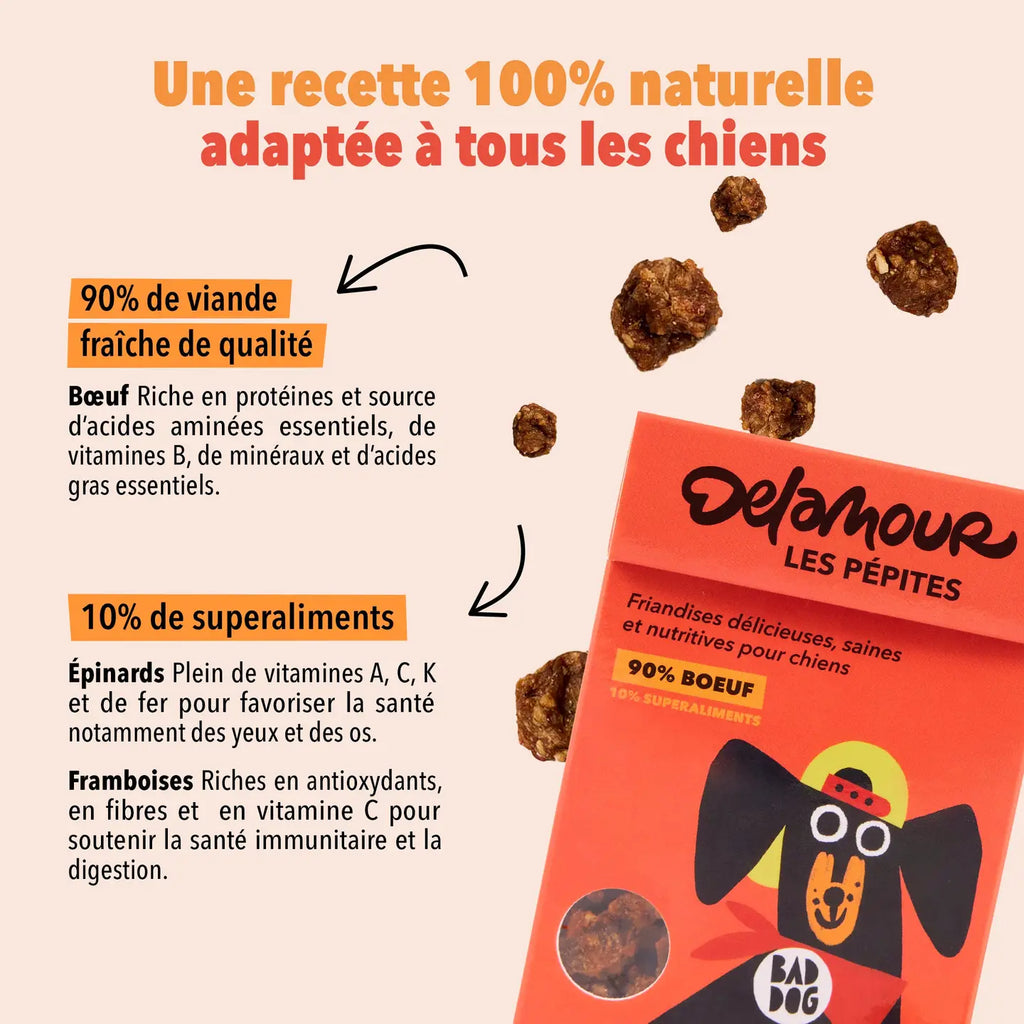 Friandises Les Pépites - Boeuf - DELAMOUR