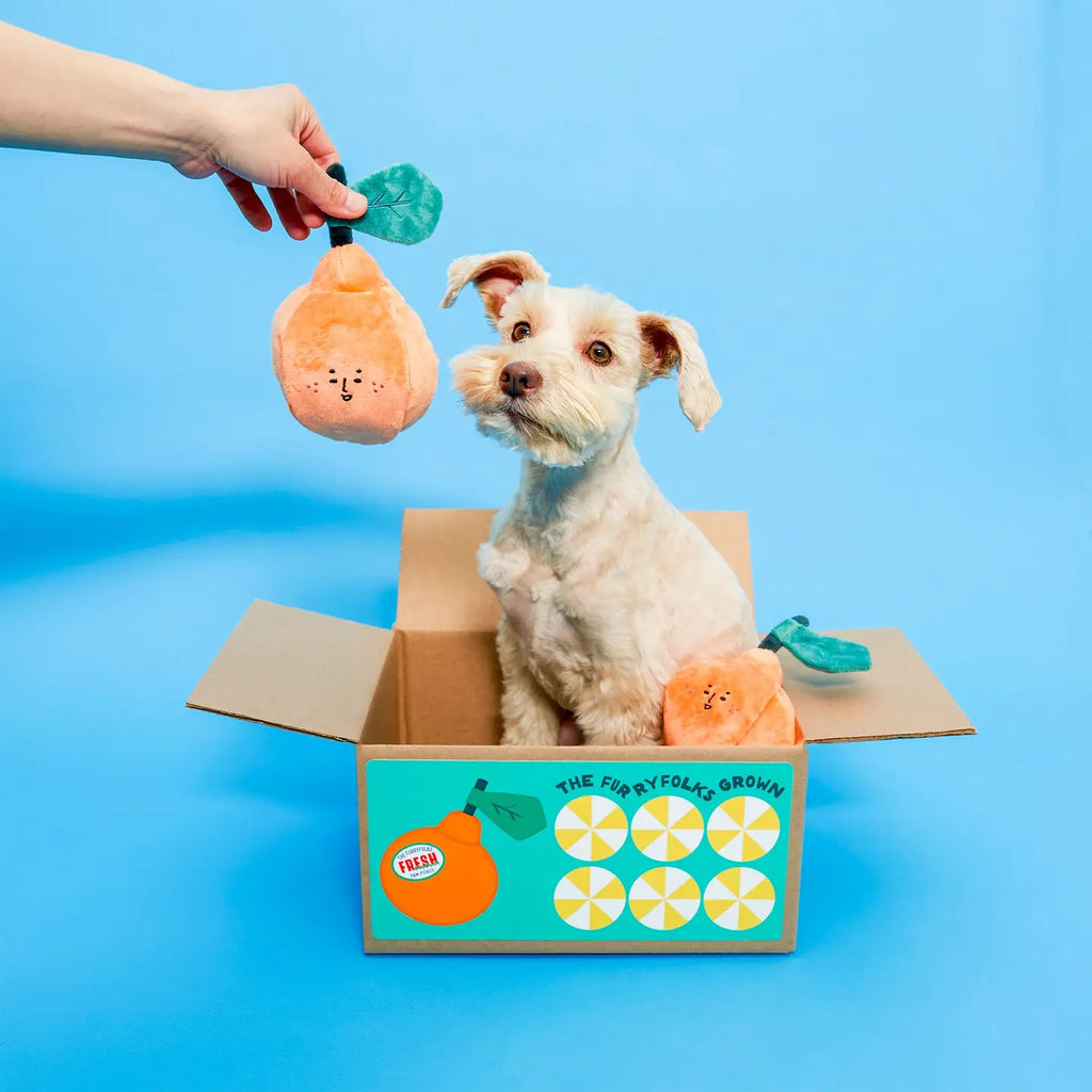 Jouet orange - THE FURRY FOLKS