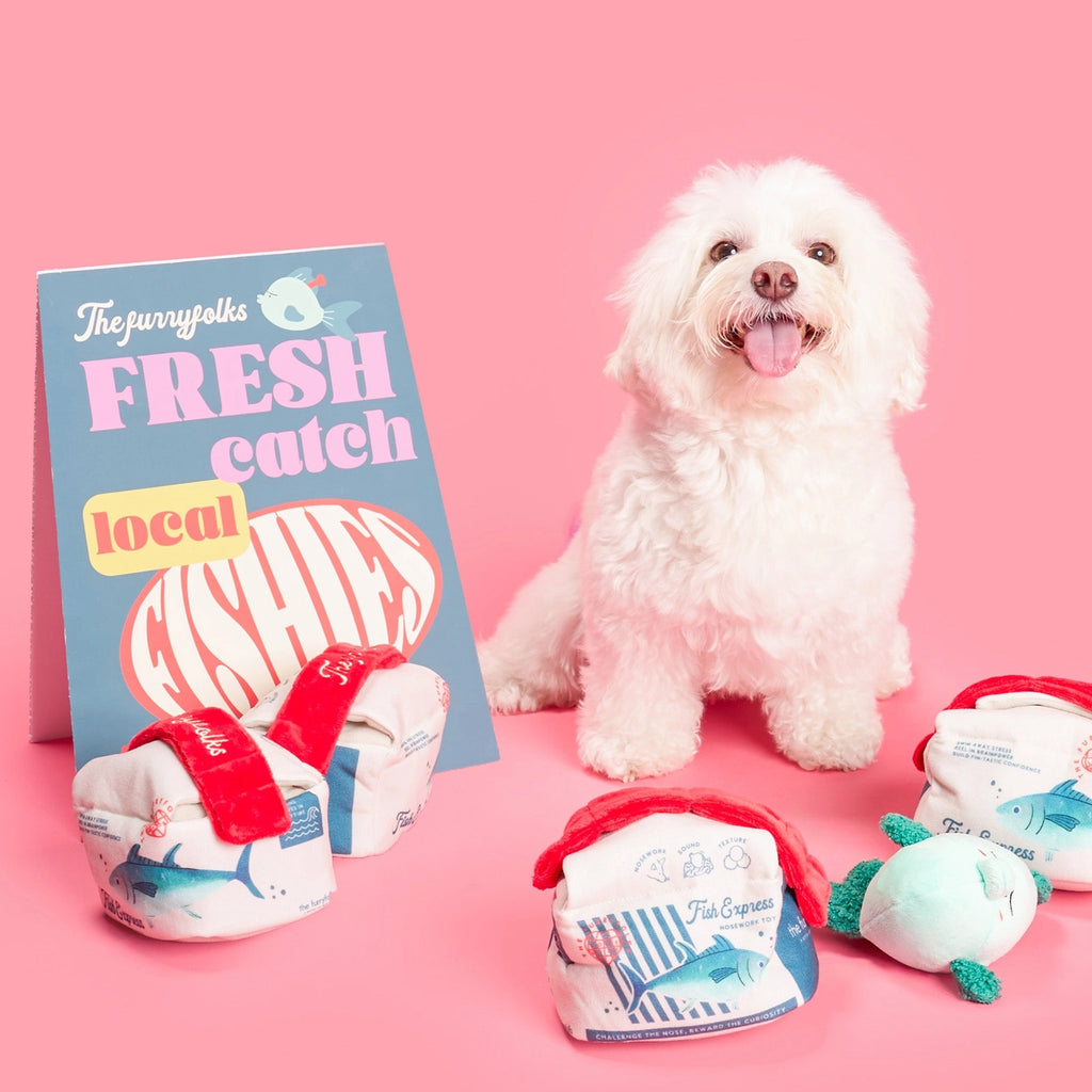 Jouet Fish Express - THE FURRYFOLKS