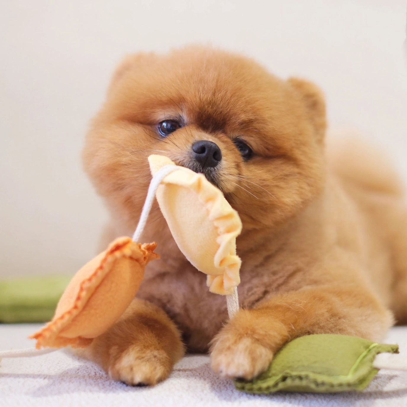 Jouet Raviolis - PUP'S & BUBS