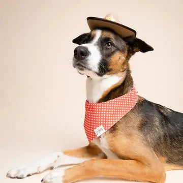 Bandana Vichy rouge - THE PAWS
