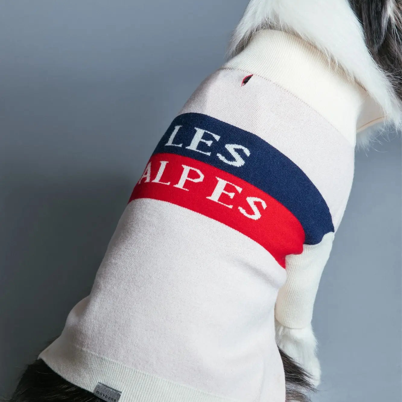 Pull Les Alpes - MAX BONE