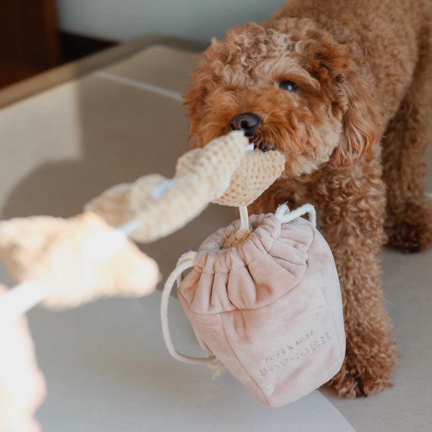 Jouet Pop Corn - PUP'S & BUBS