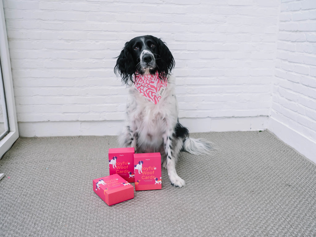 Joyful Woof Card Game - BABELLE FOR DOGS
