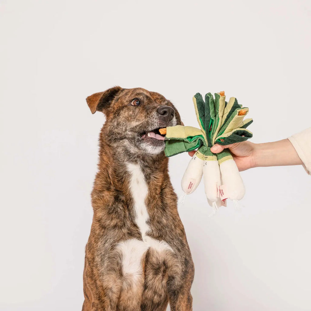 Jouet oignon vert - THE FURRY FOLKS