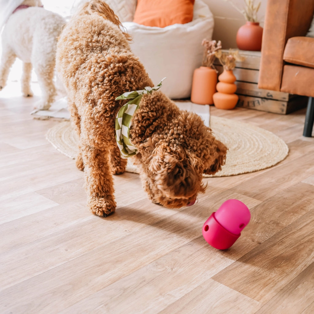 Distributeur de friandises Fun Feeder - BABELLE FOR DOGS