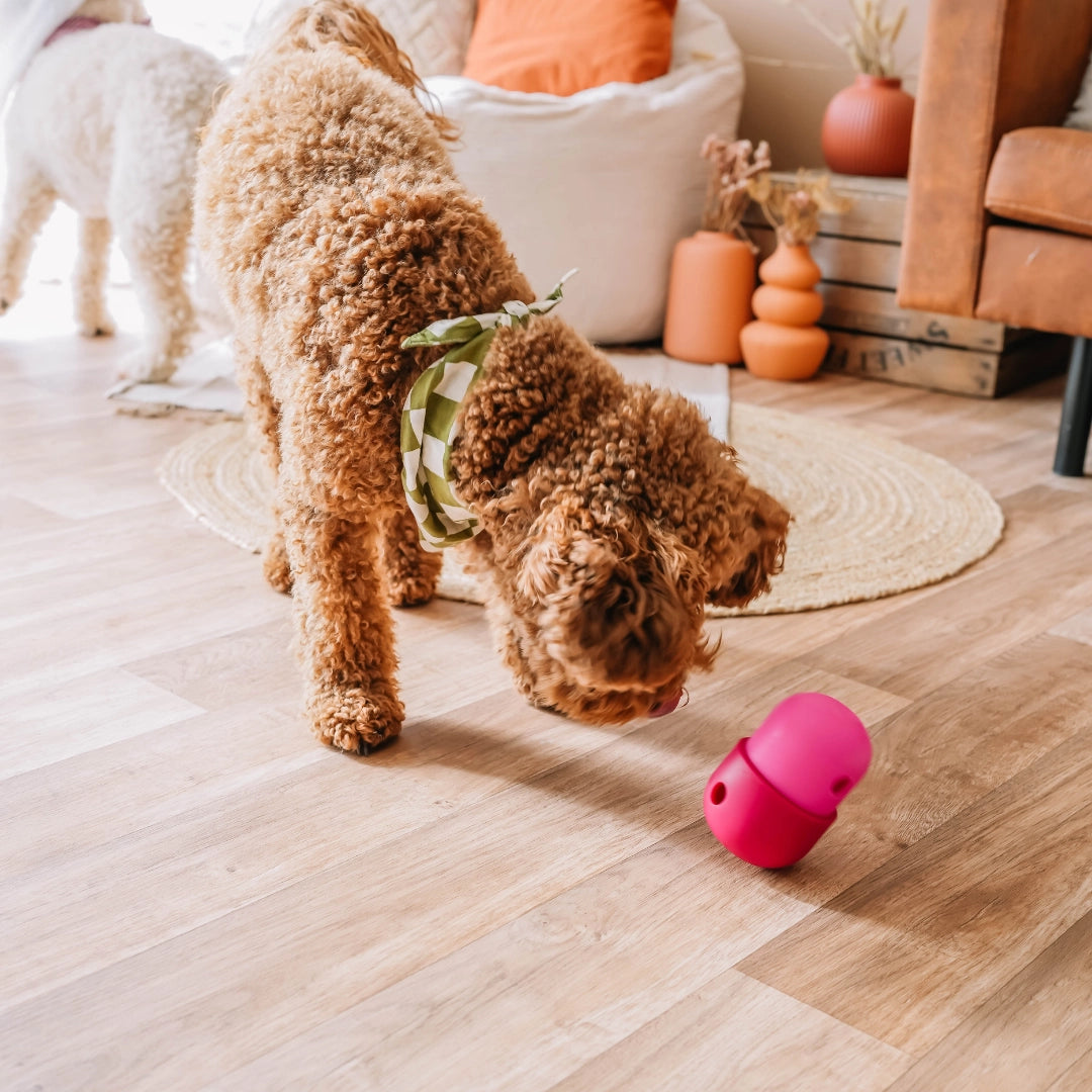 Distributeur de friandises Fun Feeder - BABELLE FOR DOGS