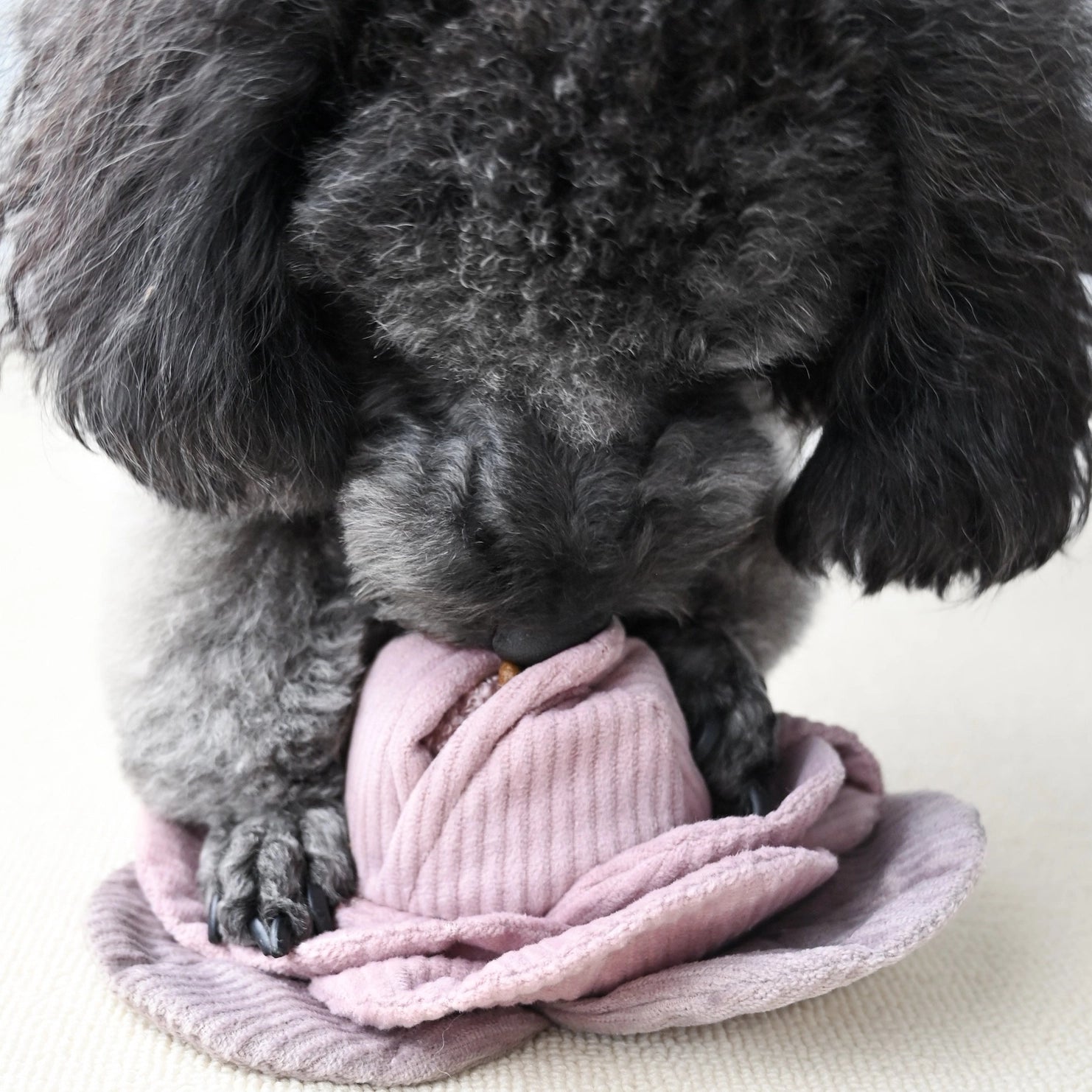 Pop-up Red Cabbage Toy - LAMBWOLF COLLECTIVE