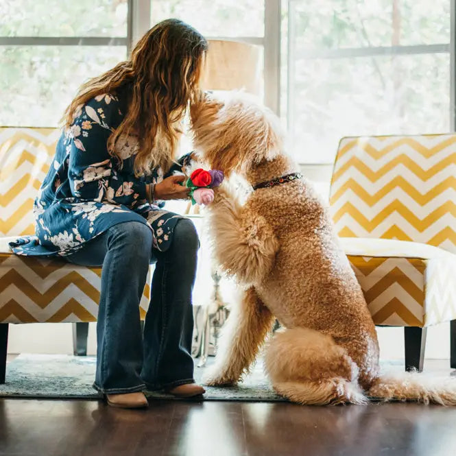 Jouet pour chien Les Roses de Rover - PLAY