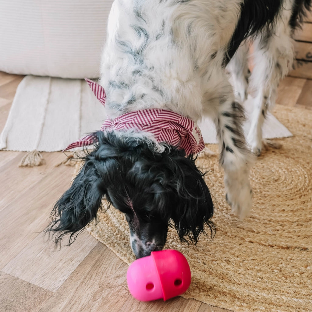 Distributeur de friandises Fun Feeder - BABELLE FOR DOGS