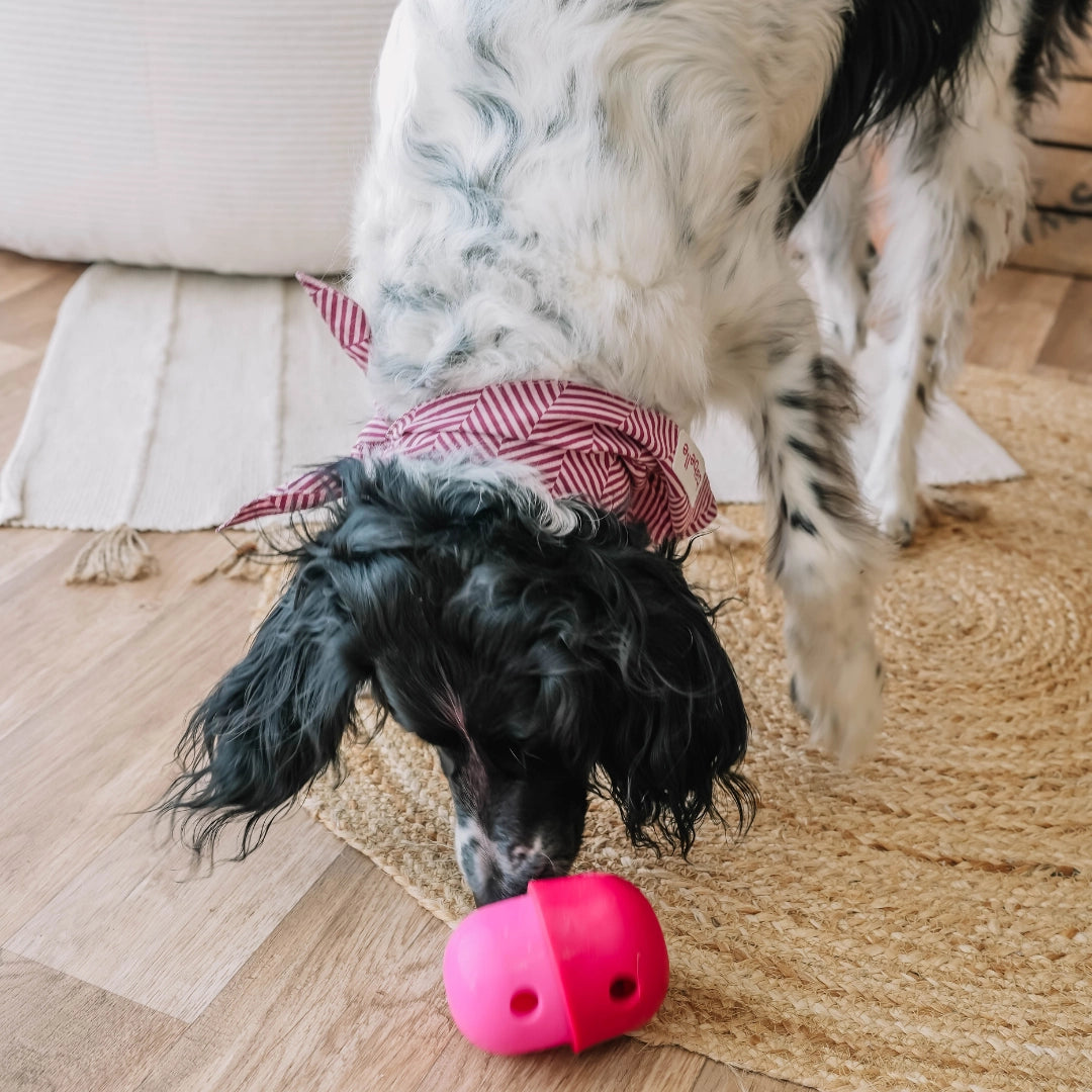 Distributeur de friandises Fun Feeder - BABELLE FOR DOGS