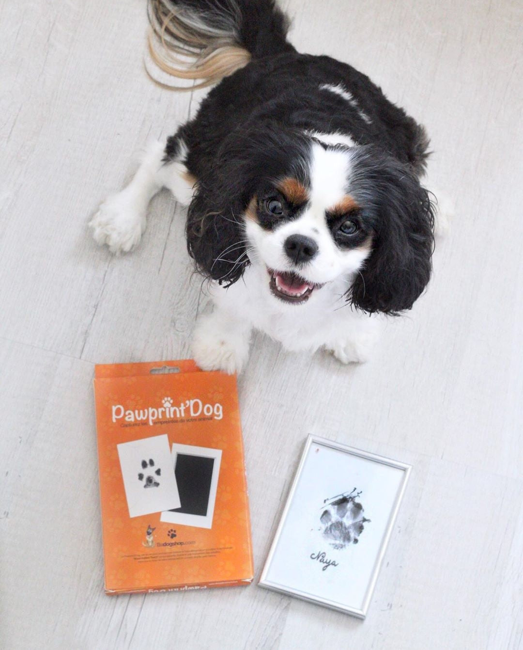 Pawprint - BADOGSHOP