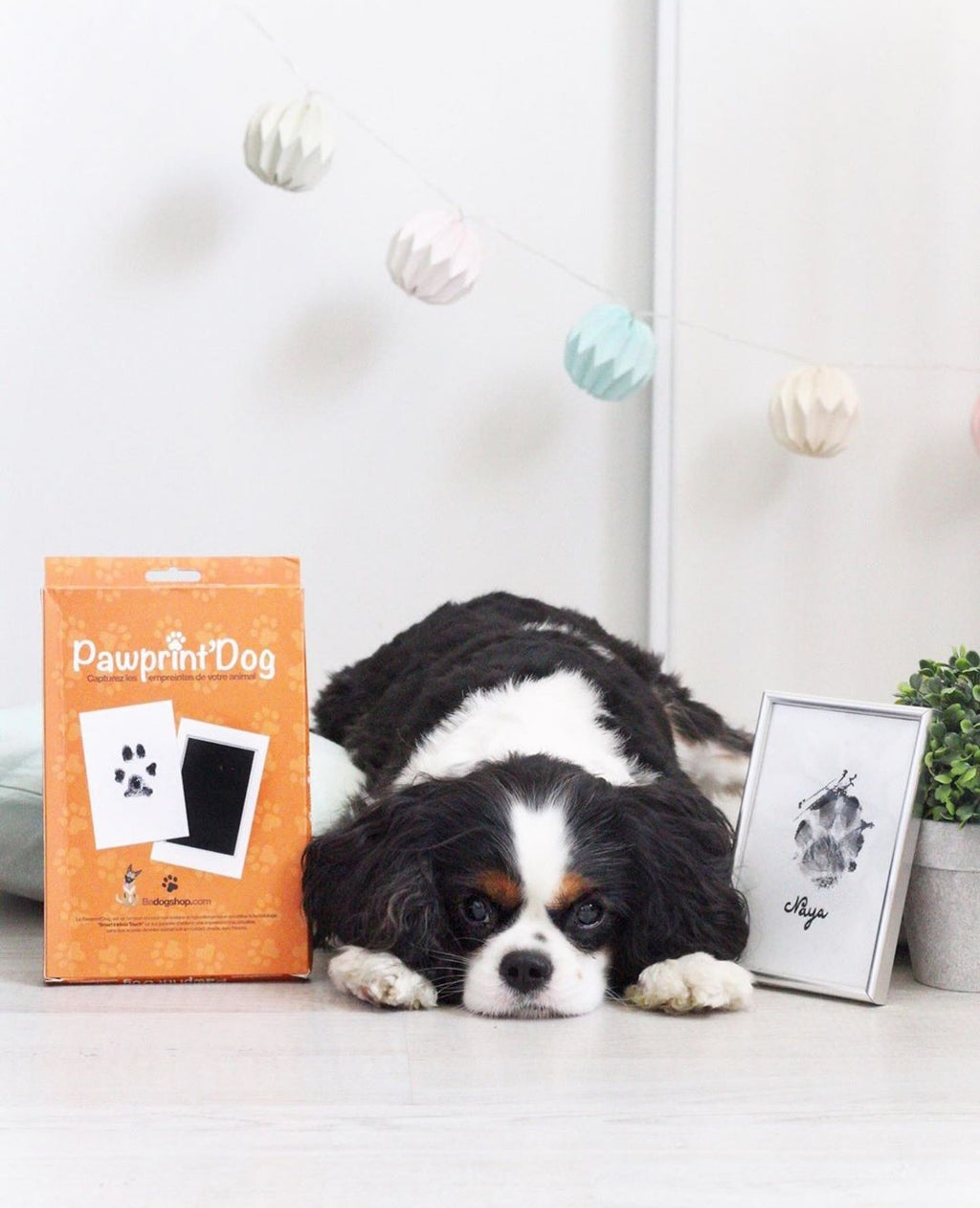 Pawprint - BADOGSHOP