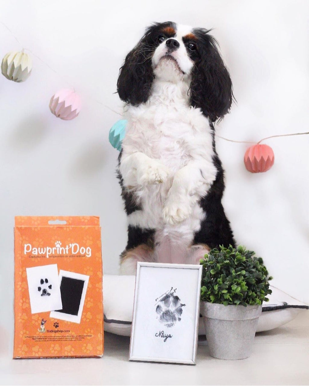 Pawprint - BADOGSHOP