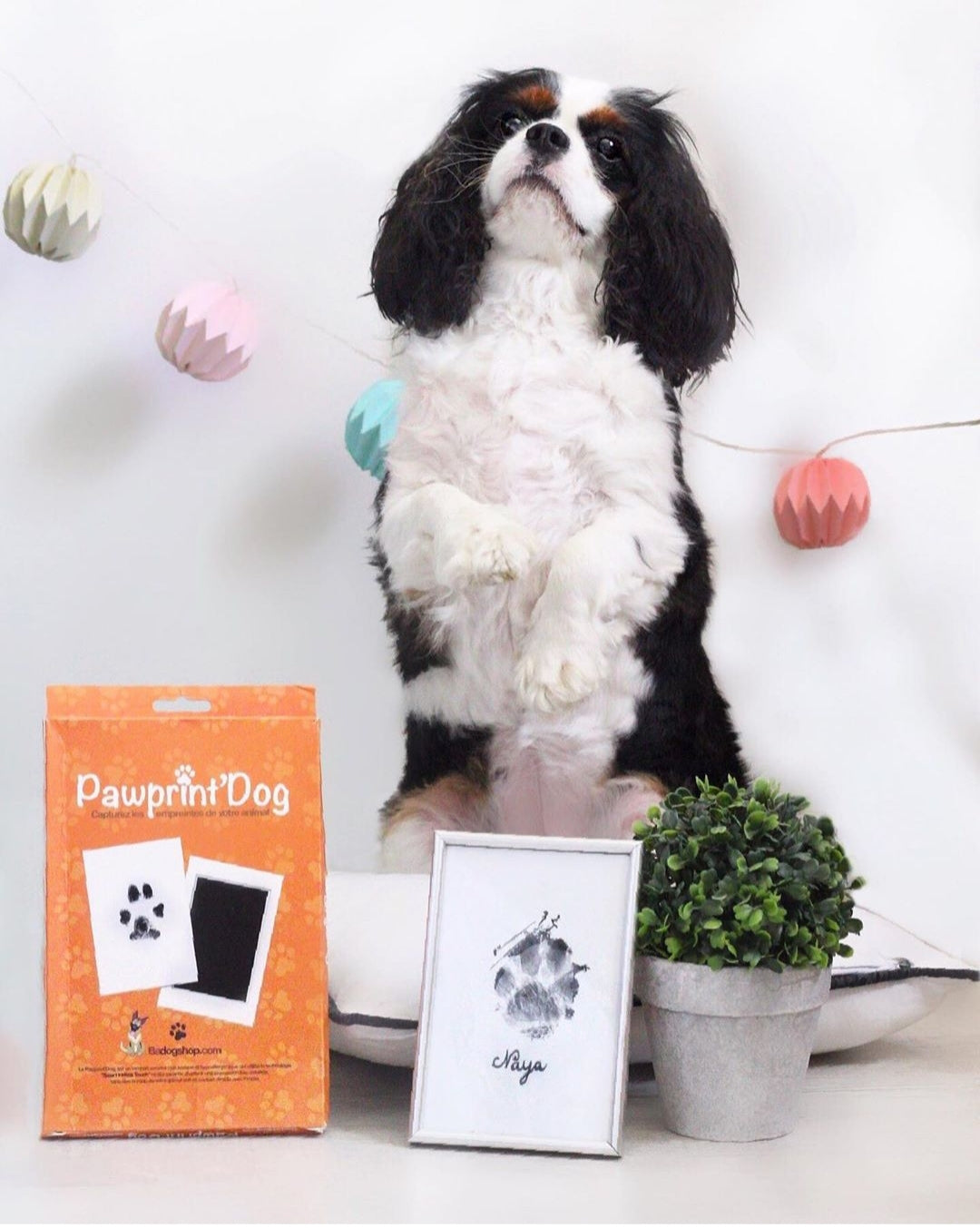 Pawprint - BADOGSHOP