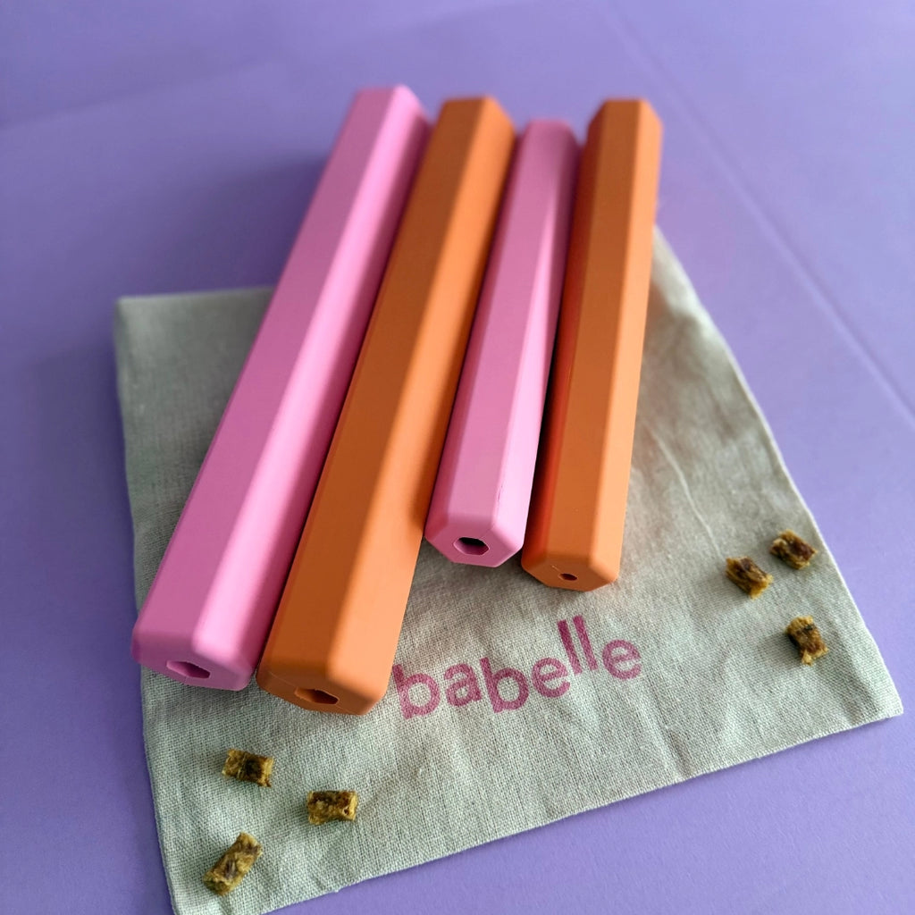 Tube à friandises orange - BABELLE FOR DOGS