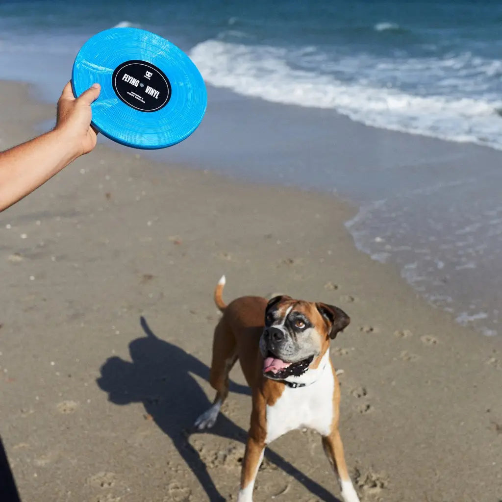 Frisbee vinyle bleu - HUNDOG