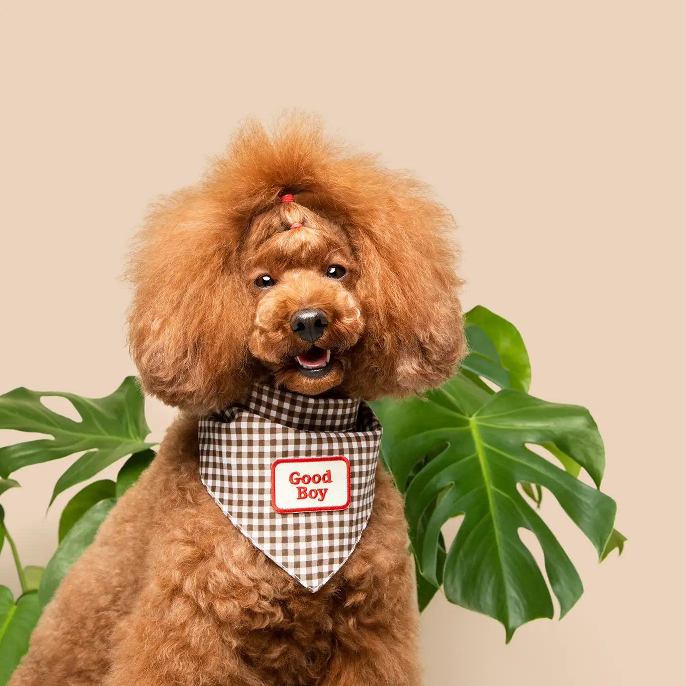 Iron-on merit badge GOOD BOY - SCOUT'S HONOUR