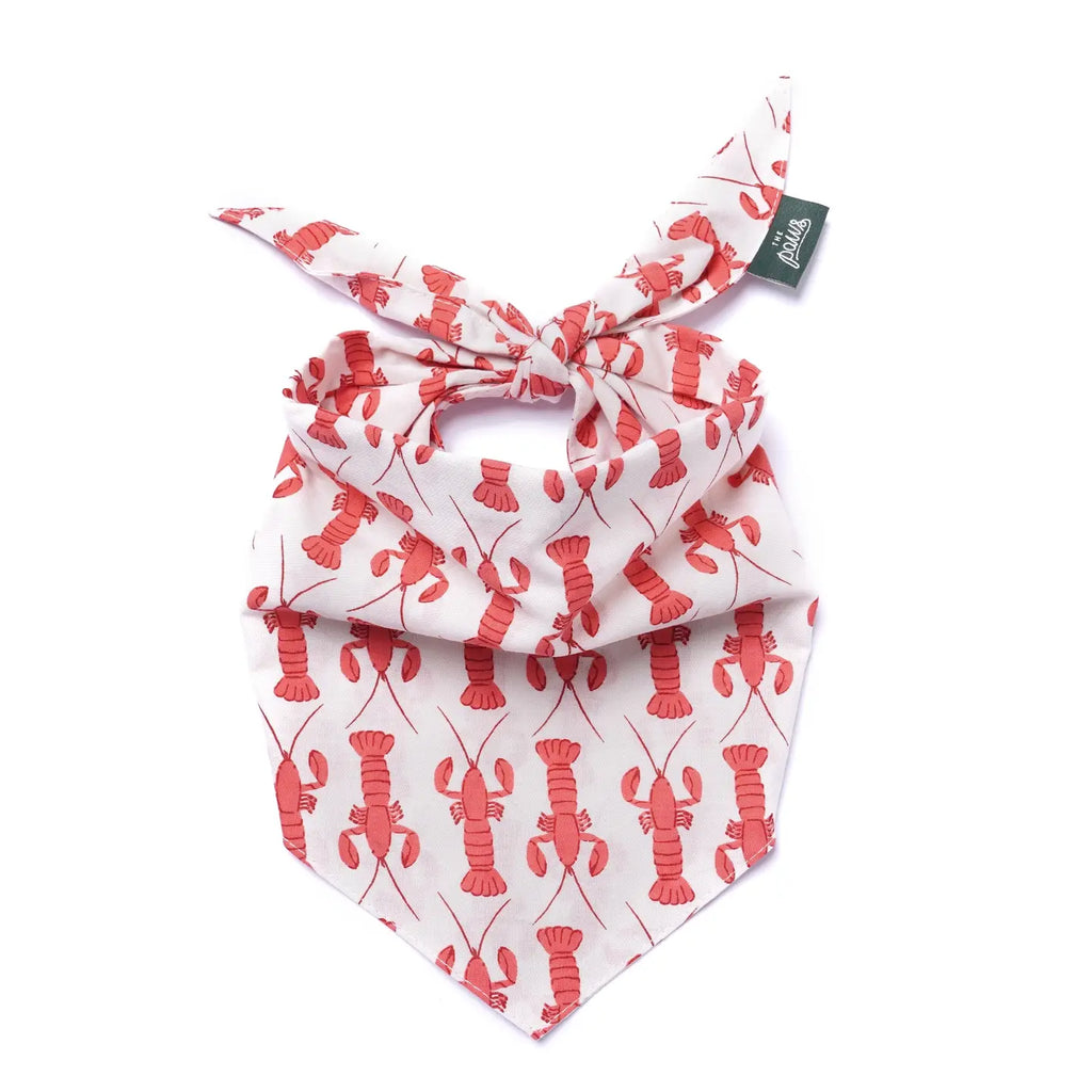 Bandana Lobstah - THE PAWS