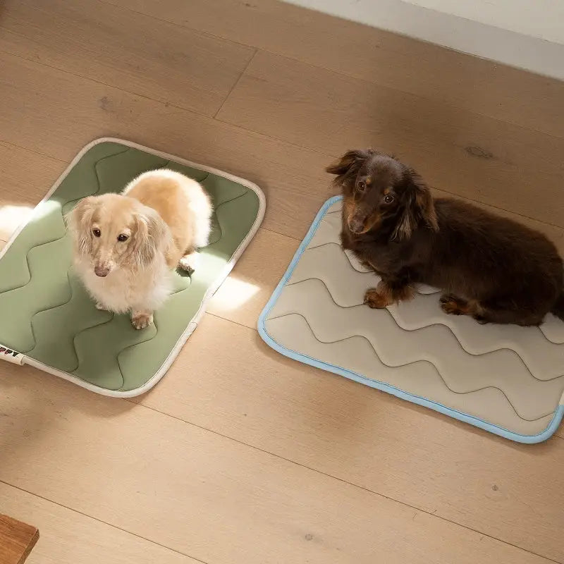 Tapis rafraîchissant en mousse à mémoire Cool Wave - PUPPY GALLERY