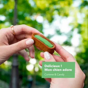 Pâtisseries Le Moelleux - Hygiène dentaire - DELAMOUR