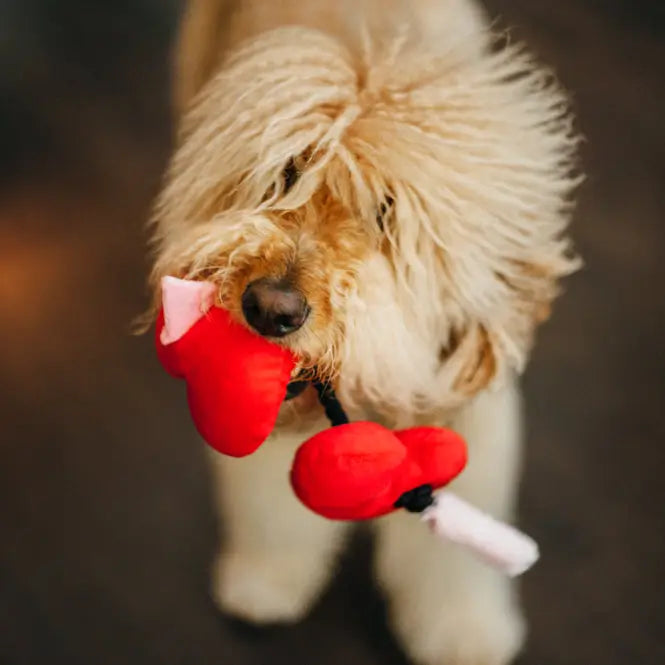 Jouet Coeurs pour toujours - PLAY