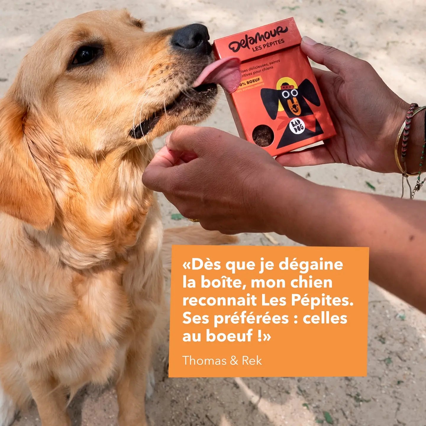 Friandises Les Pépites - Boeuf - DELAMOUR