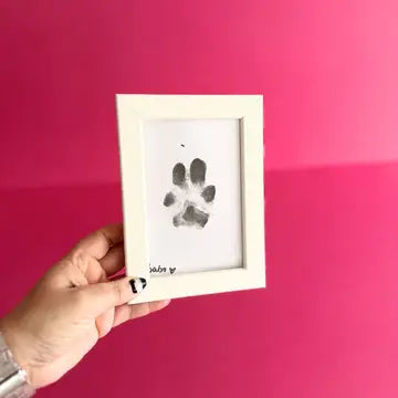 Kit d'empreintes de pattes - BABELLE FOR DOGS