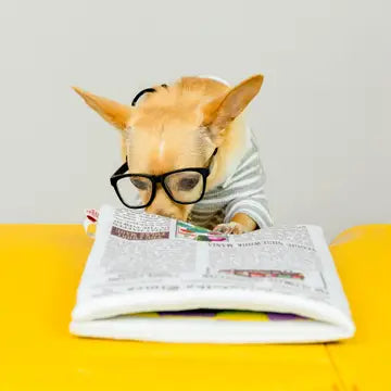 Jouet Journal Numéro 2 - THE FURRYFOLKS