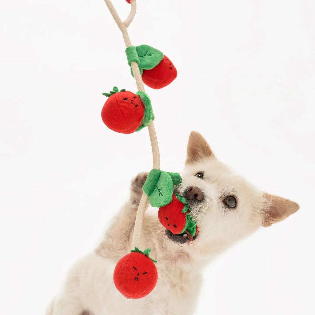 Jouet tomates cerise - THE FURRY FOLKS