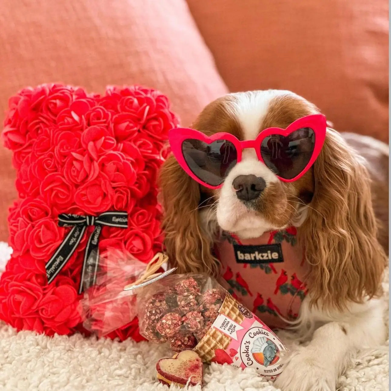 Friandises pink Kisses à la dinde et au thon - COOKA'S COOKIES