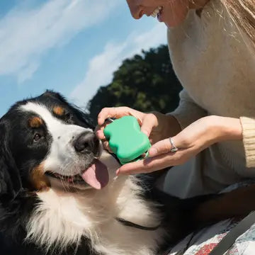 Treat dispenser pouch - SPRINGLAND PET
