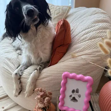 Kit d'empreintes de pattes - BABELLE FOR DOGS