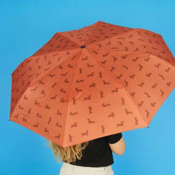 Parapluie teckel - BALVI