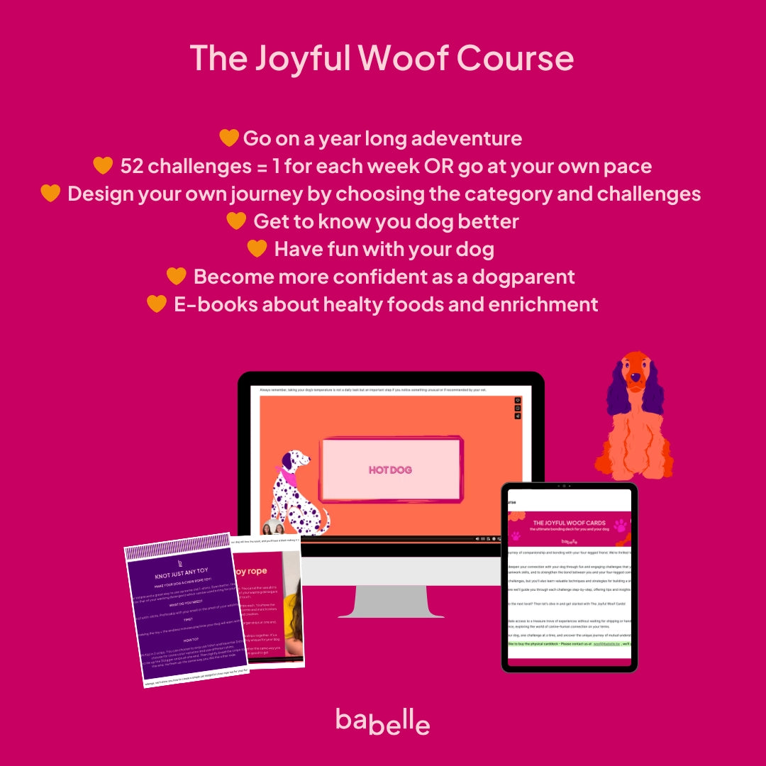 Joyful Woof Card Game - BABELLE FOR DOGS